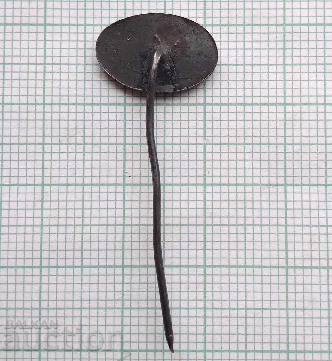 Licitație 19466 Insignă