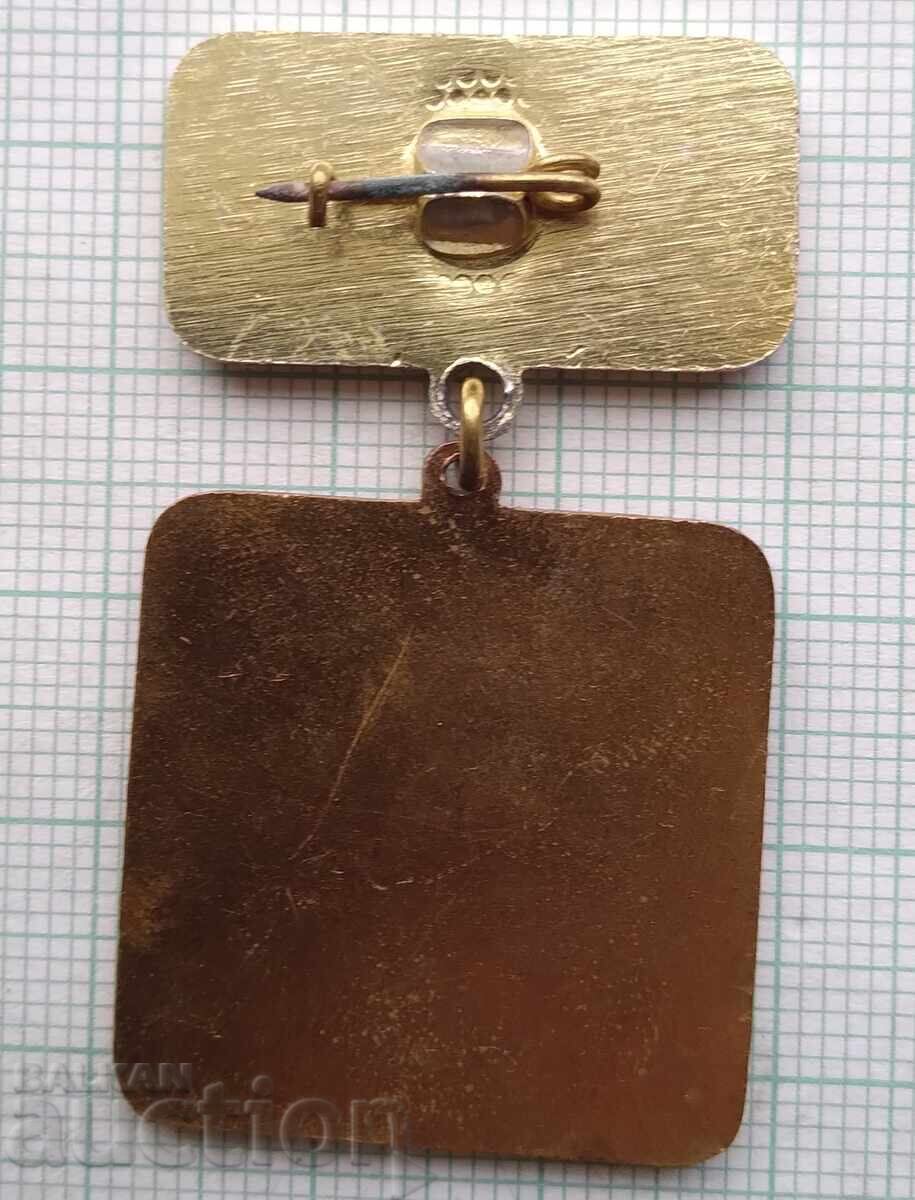 Licitație 19469 Insignă - Șofer model SVS