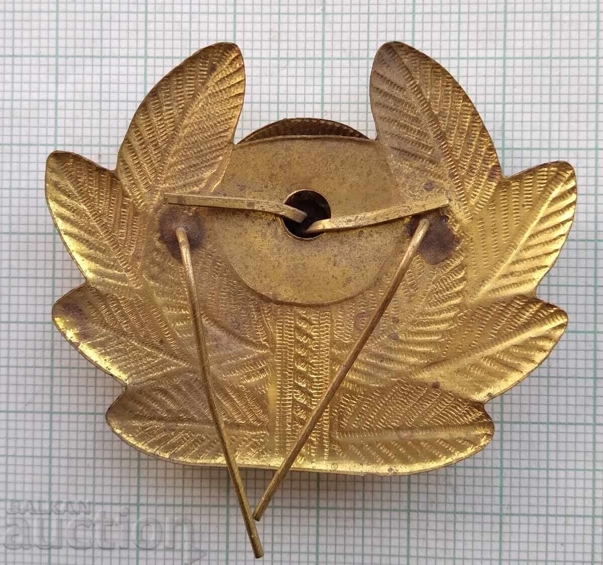 Auction  19495 Badge Bulgaria