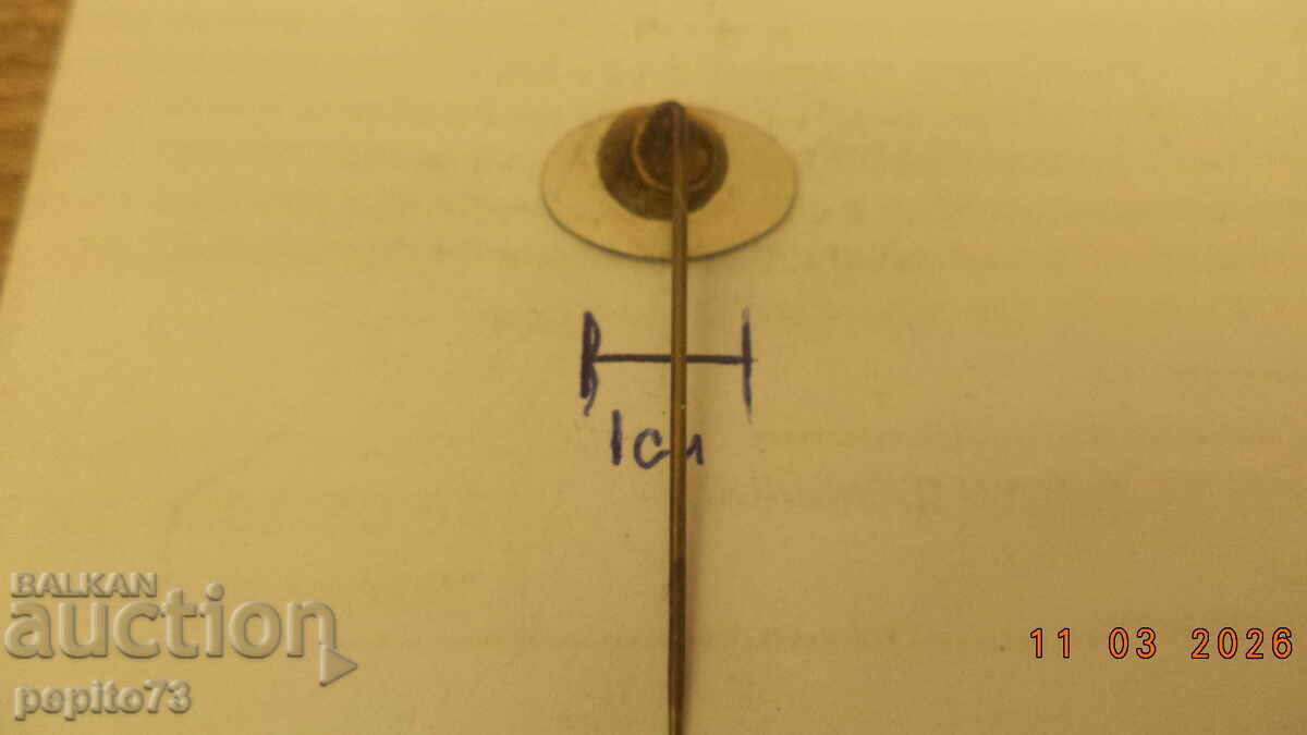 Livrarea Insignă publicitară, steag Olanda