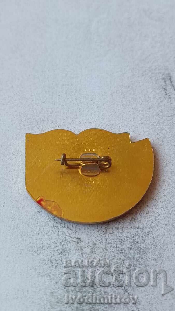 Insignă 100 ani Școala "Cyril și Metodiu" Vidin 1885 - 1985 cu preț € 2.34 | 4.58 BGN