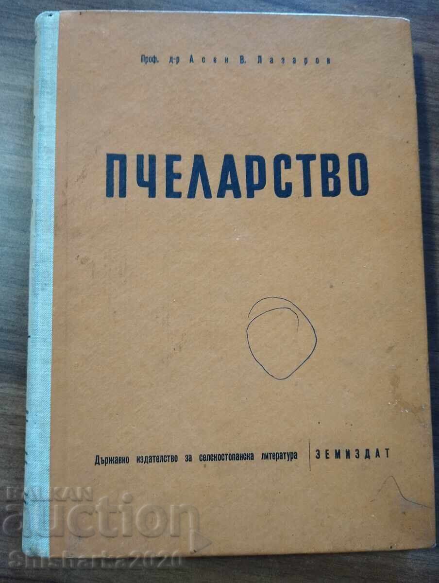 Apicultură