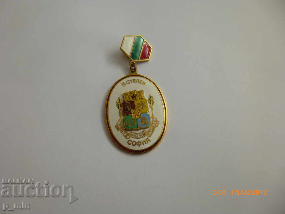 Insignă de piept - clasa a II-a Sofia Insignă de piept - clasa a II-a Sofia