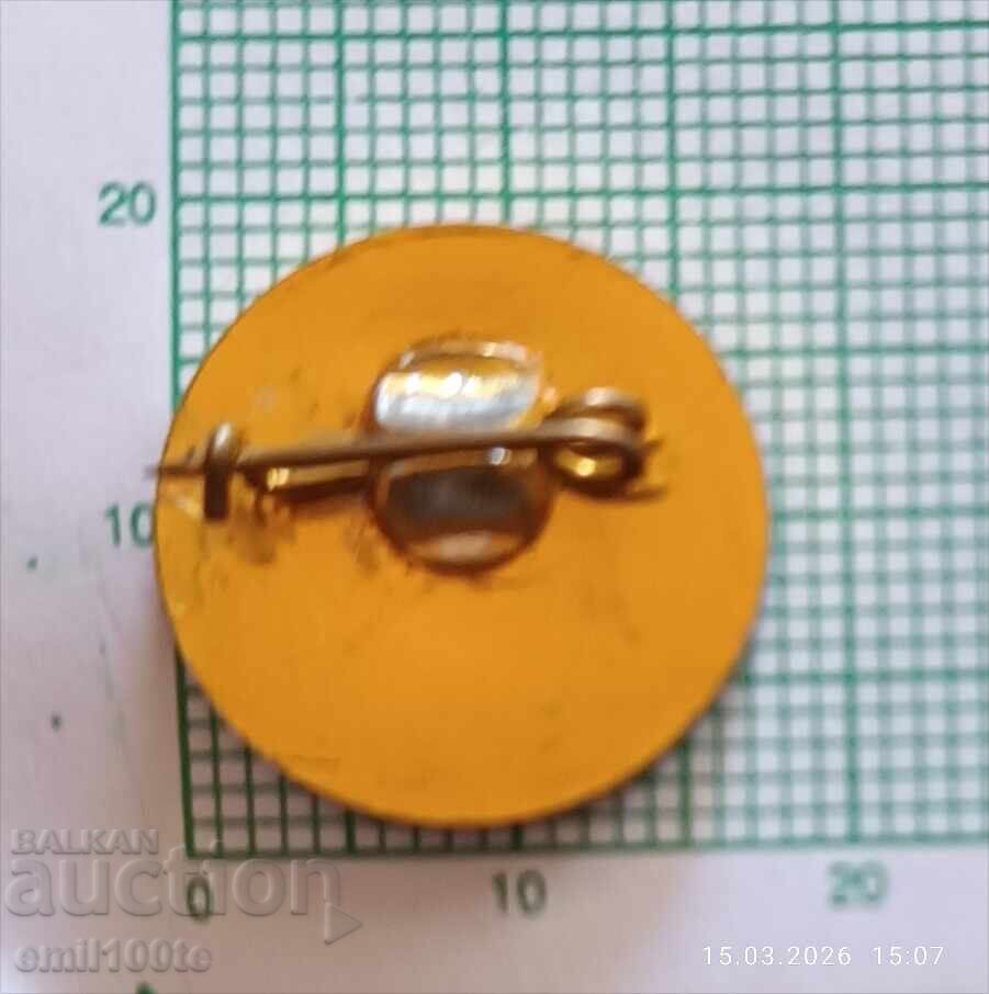 Livrarea Insignă - Fotbal Club Dobrudja Tolbuhin