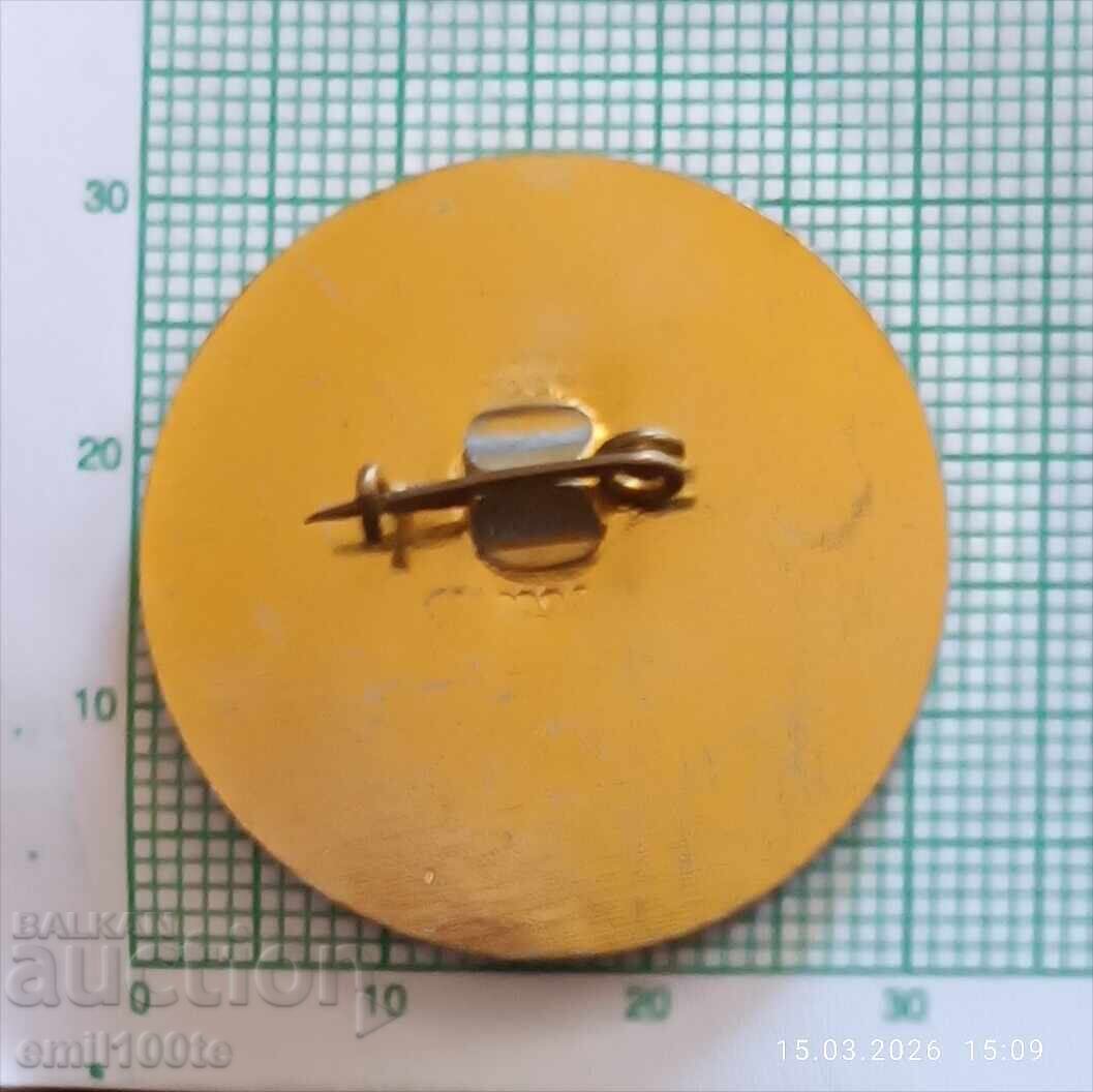 Delivery of Badge - DFS Lyulin Cross-country