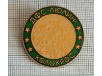 Emblemă - DFS Lyulin Colocros