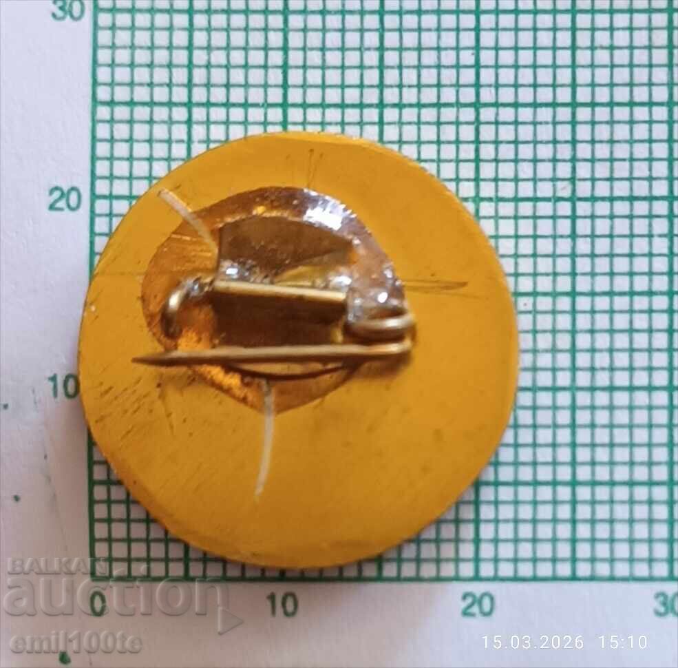 Livrarea Insignă - Raliu Vechi Capitale Șumen