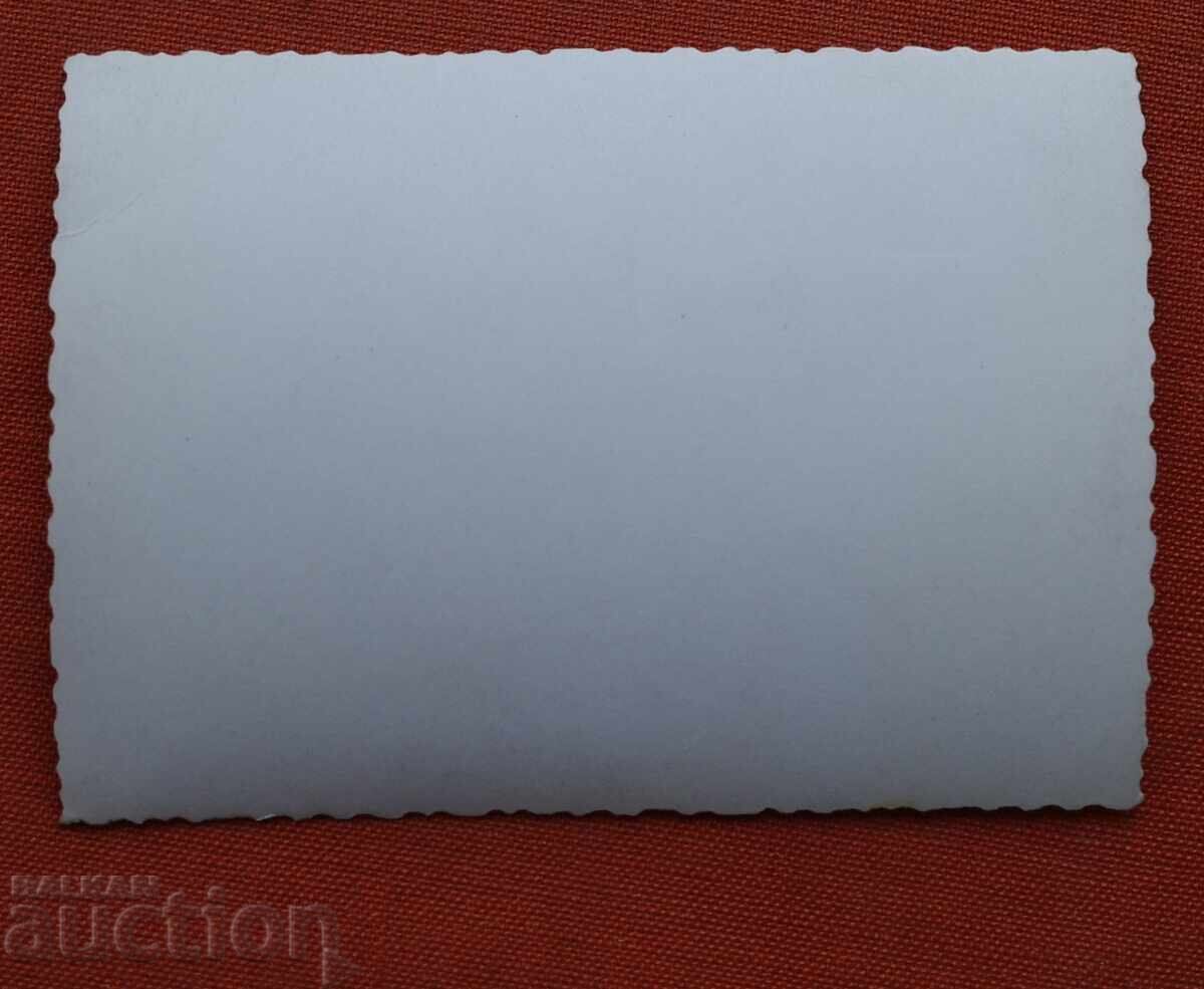 Licitație Medalii Ordine