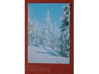 Курорт Пампорово