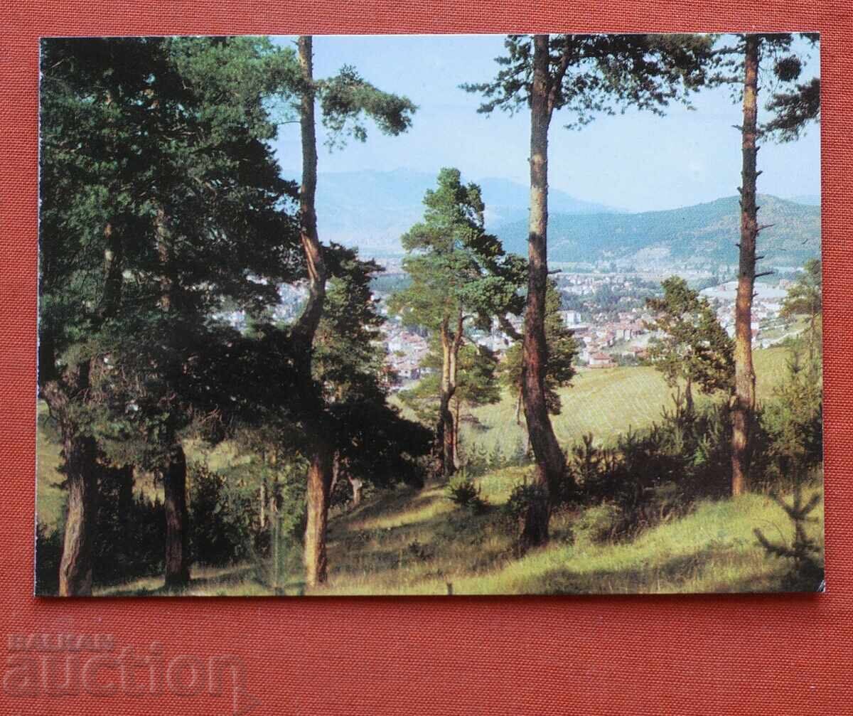 Βέλινγκραντ Βέλινγκραντ