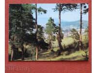 Βέλινγκραντ