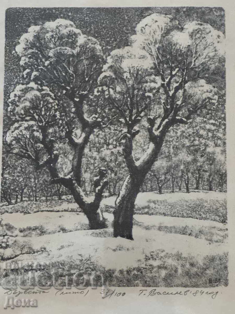 Georgi Vassilev, GRAPHICS 1984