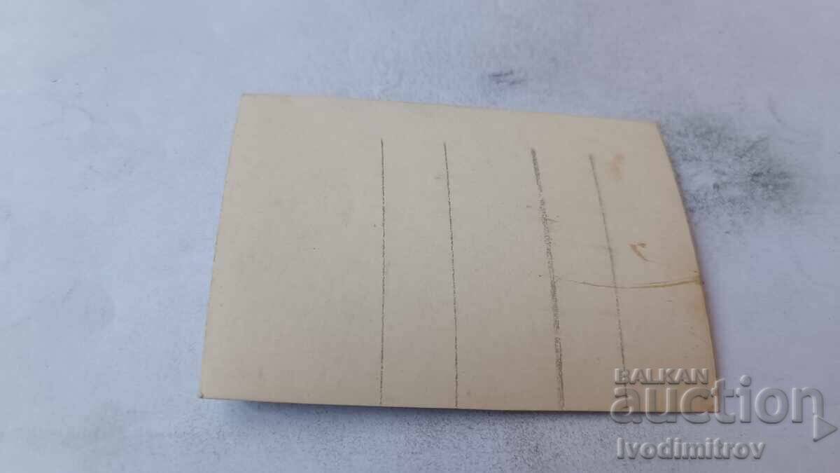 Fotografie bărbați tineri în costume de baie pe iarbă cu preț € 1.17 | 2.29 BGN