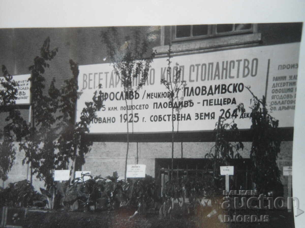 Fotografie veche, Cooperativă vegetariană, Fondată în 1925 cu preț € 2.50 | 4.89 BGN