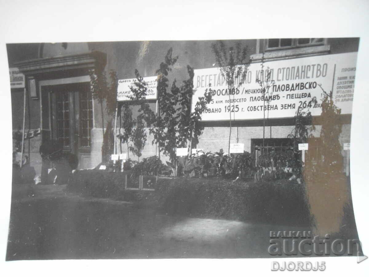 Fotografie veche, Cooperativă vegetariană, Fondată în 1925