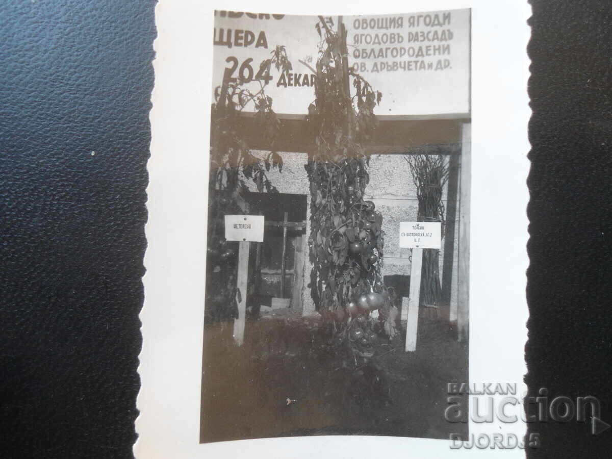 παλιά φωτογραφία