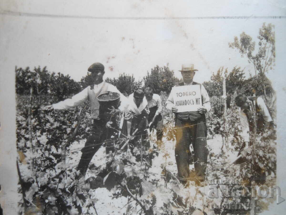 old photo with price € 1.00 | 1.96 BGN