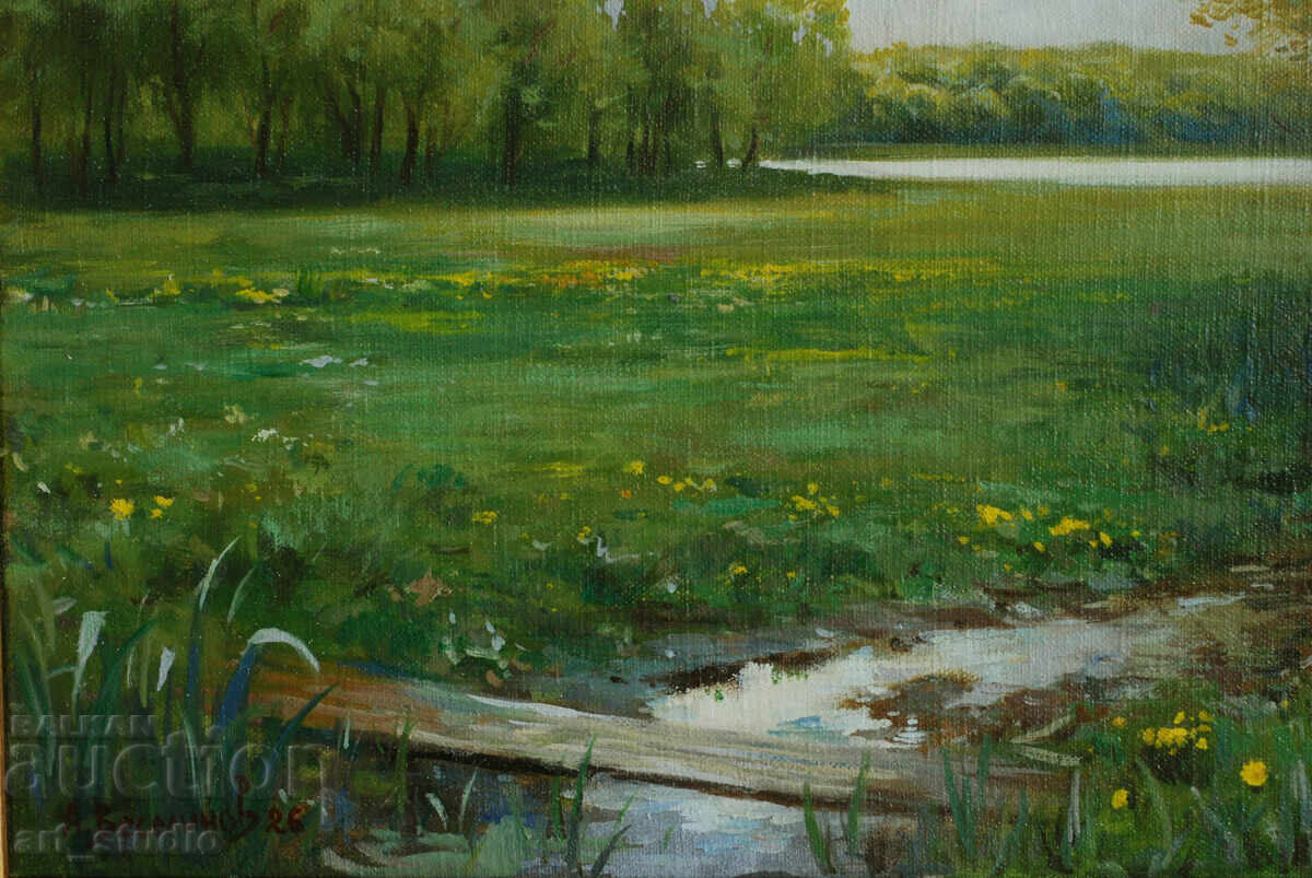 Peisaj forestier - vopsele în ulei cu preț € 145.00 | 283.60 BGN