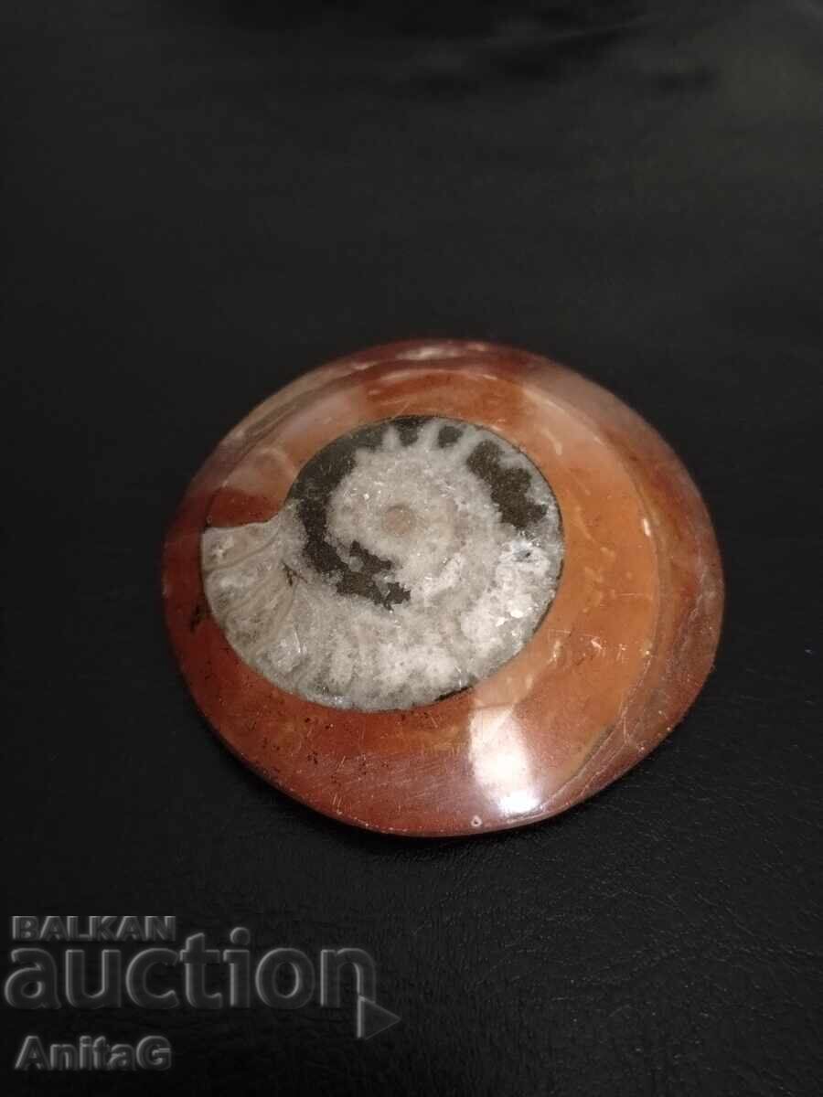 Amonit pe bază de Jasp Roșu natural – Decor. 7cm