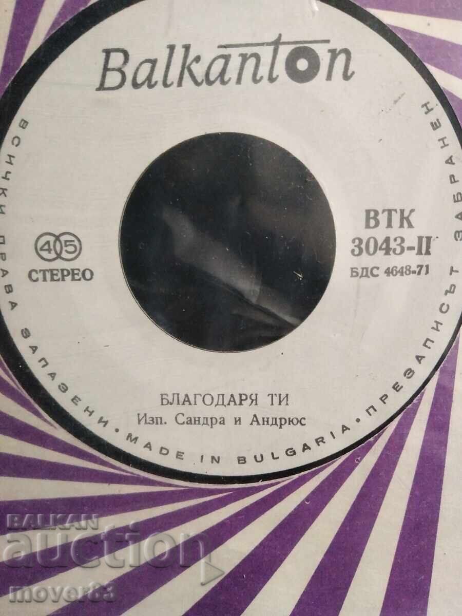 Livrarea Placă mică. 2 plăci Livrarea Placă mică. 2 plăci