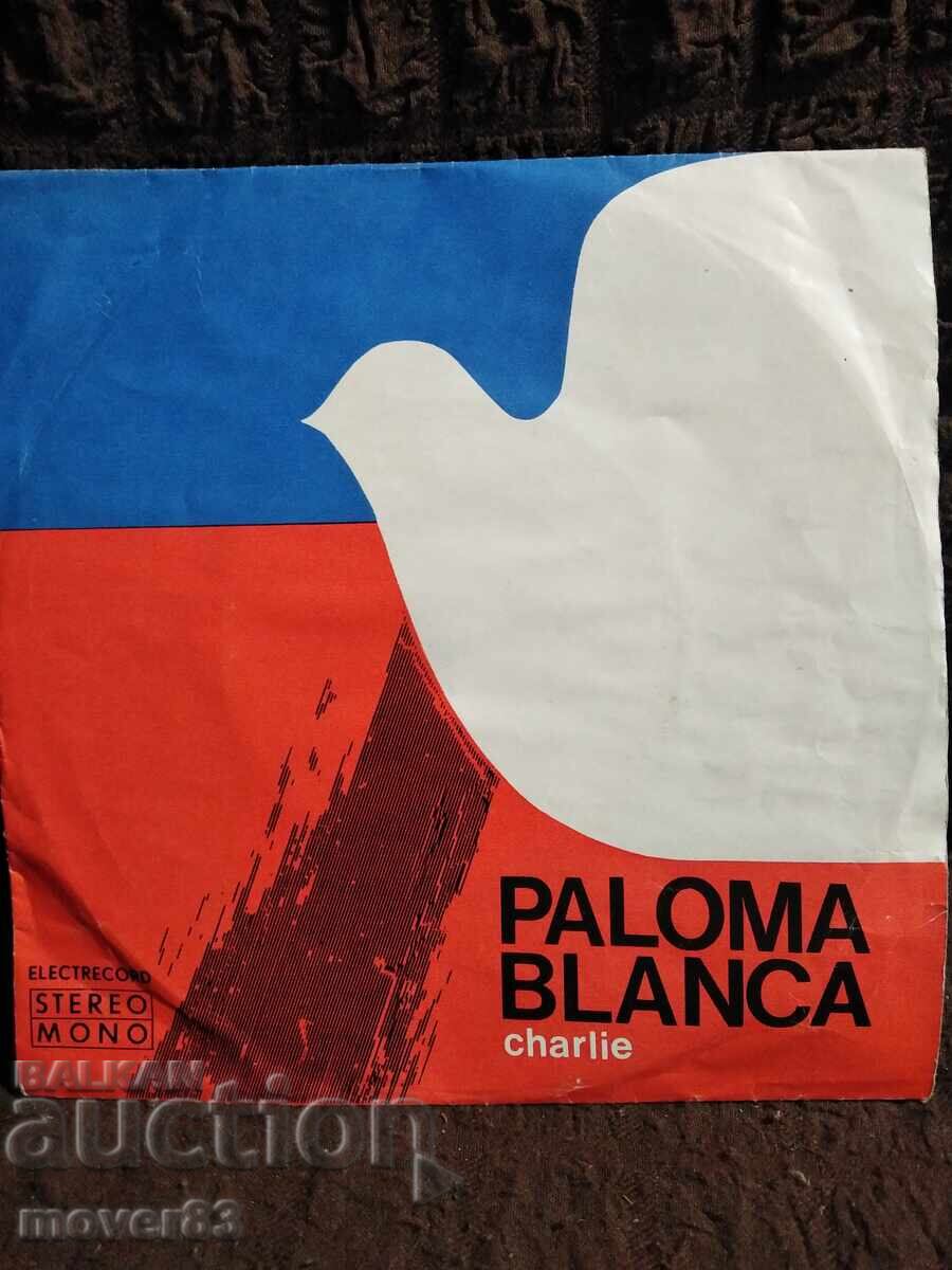 Placă mică. Paloma Blanca