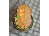 Insignă - Stejarul din Granits, anul 345 d.Hr