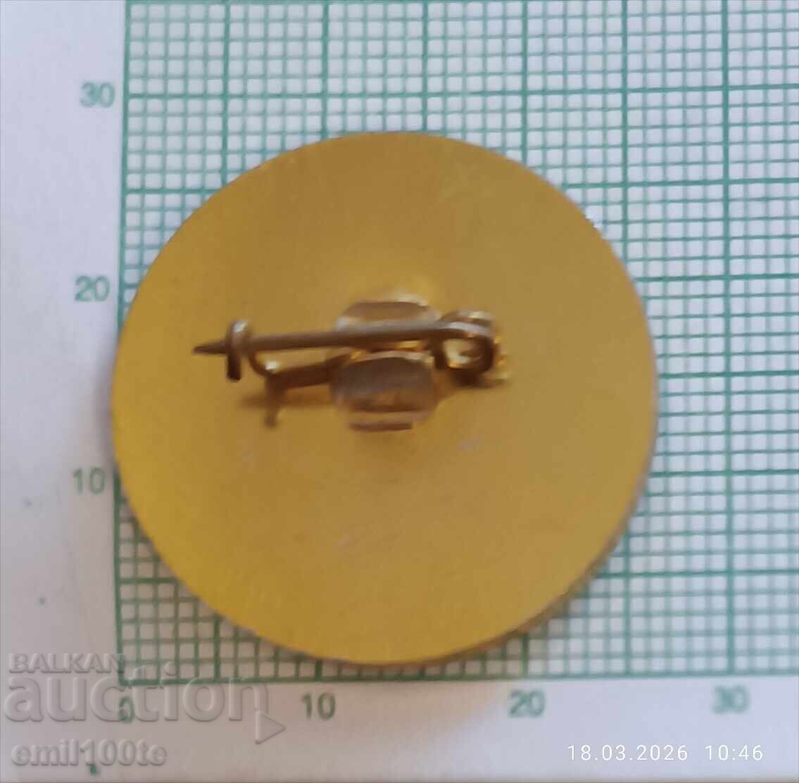 Livrarea Insigna - TNTM SIV 89 Livrarea Insigna - TNTM SIV 89