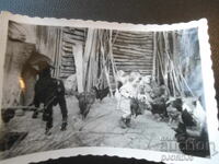 παλιά φωτογραφία