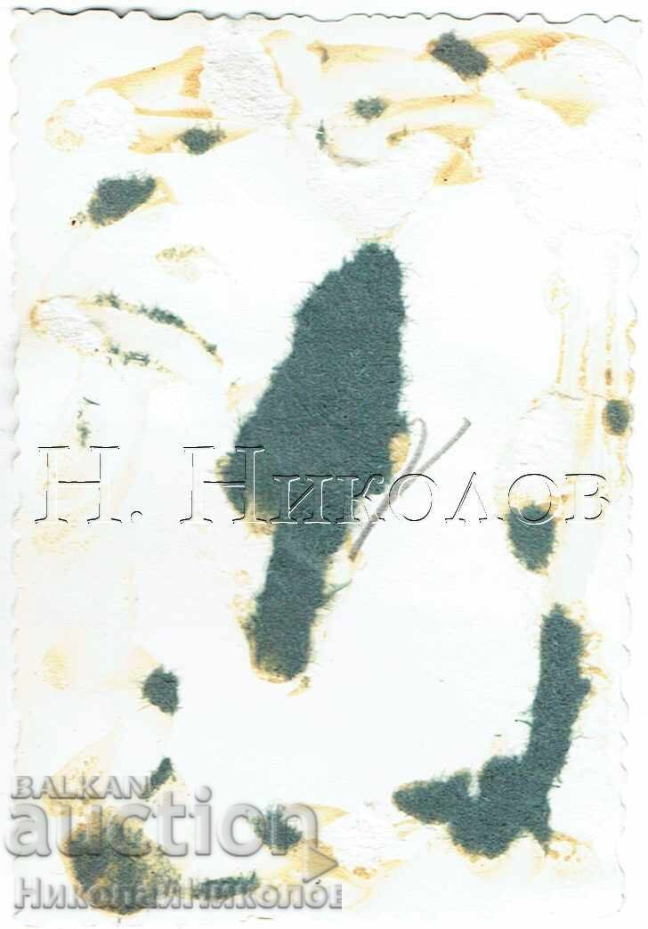 MICĂ POZĂ VECHE LÂNGĂ PISCINĂ SĂRITURI DE PE TURN J425 cu preț € 2.00 | 3.91 BGN