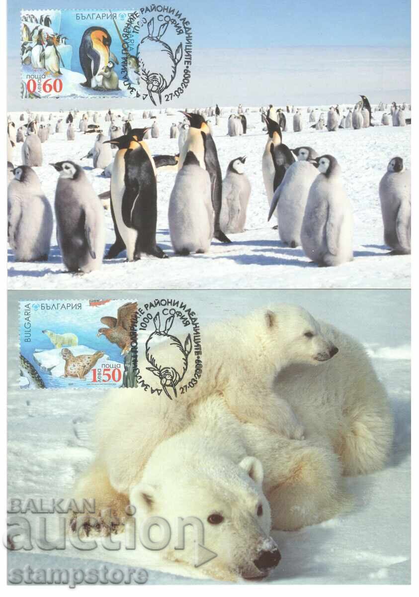 2 bucăți KM Să păstrăm ghețarii polari