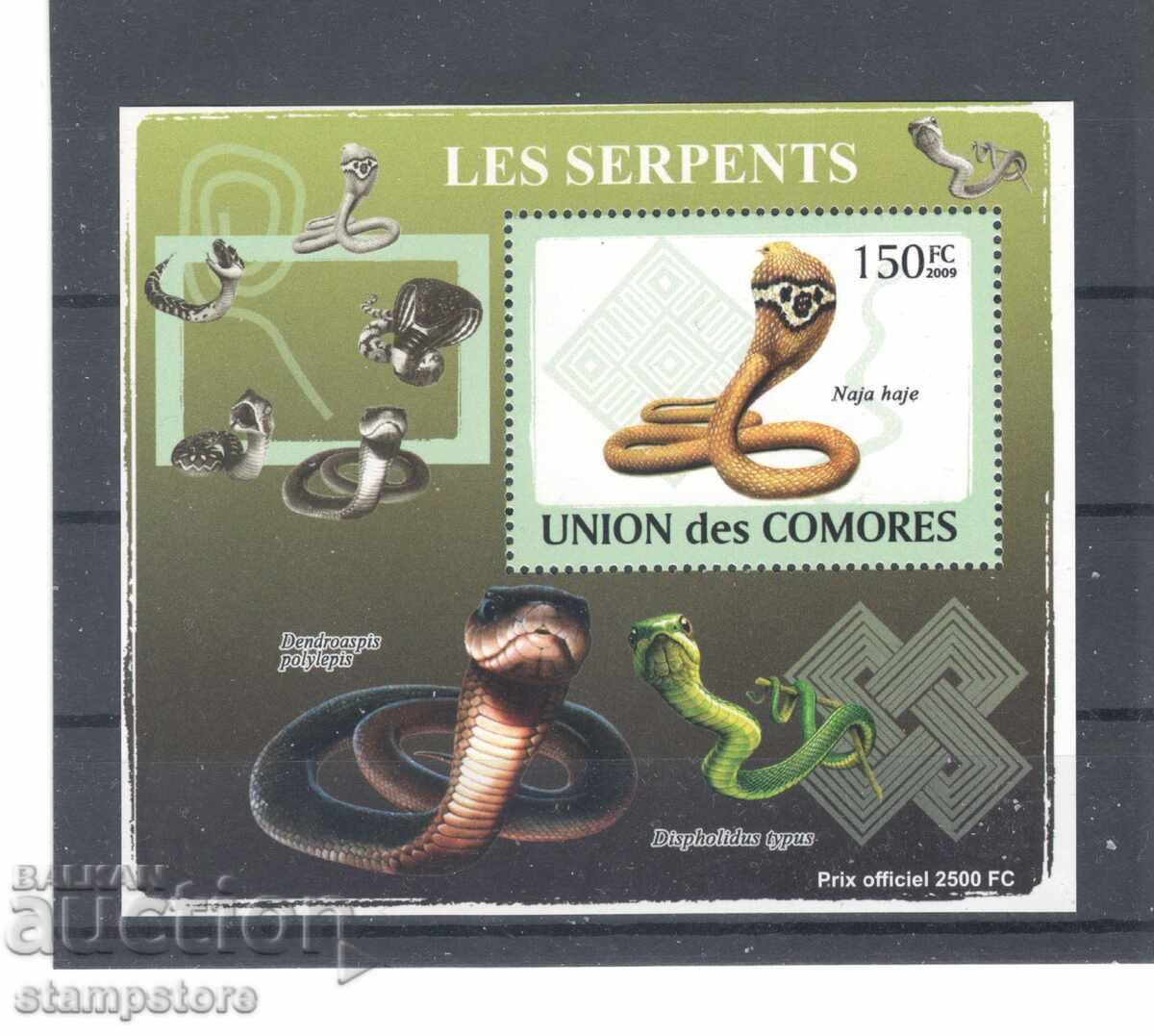 Comore - Reptile