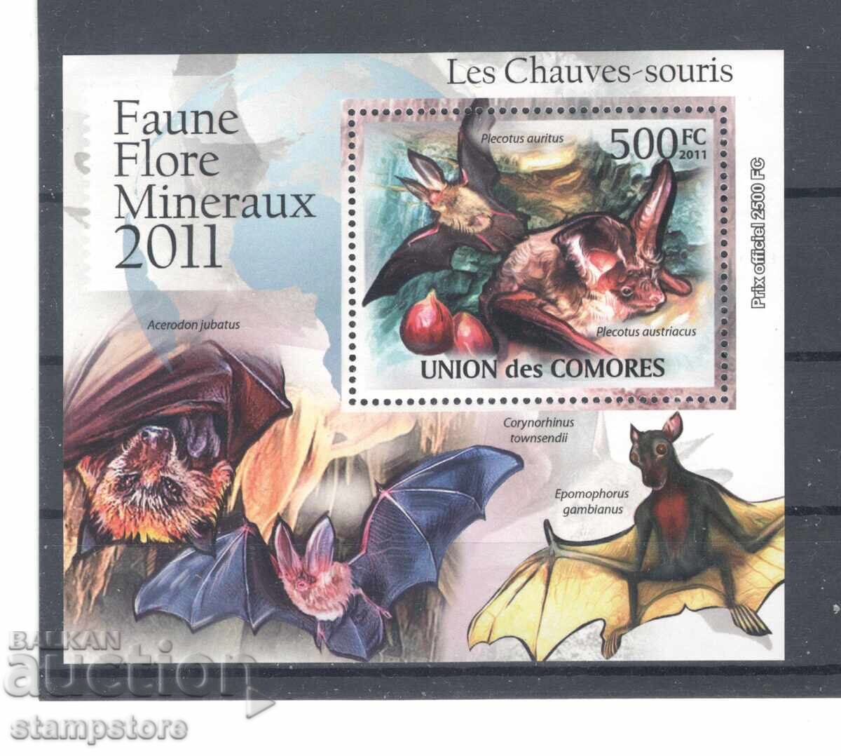 Νησιά Κομόρες - Νυχτερίδες