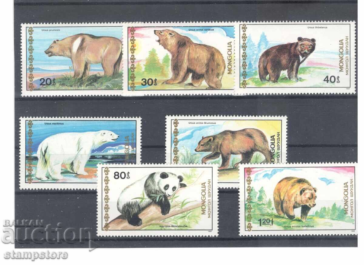 Μογγολία - Αρκούδες
