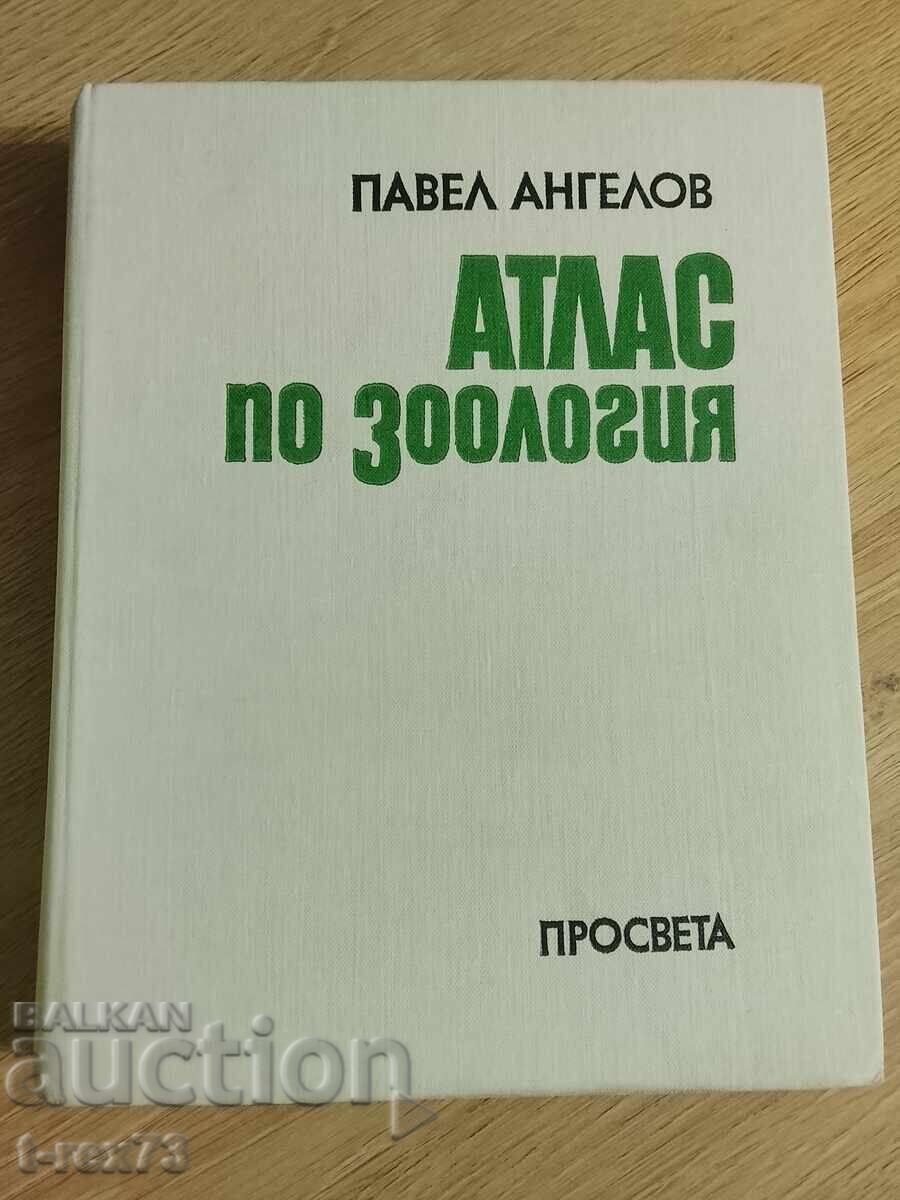 Atlas of Zoology - Invertebrate Animals / Pavel Angelov Atlas of Zoology - Invertebrate Animals / Pavel Angelov