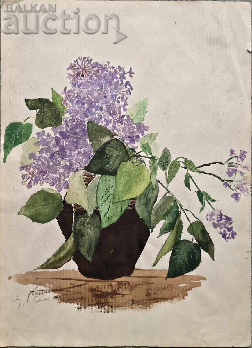 B.Z.C Țvetana Gateva Simeonova - Liliac