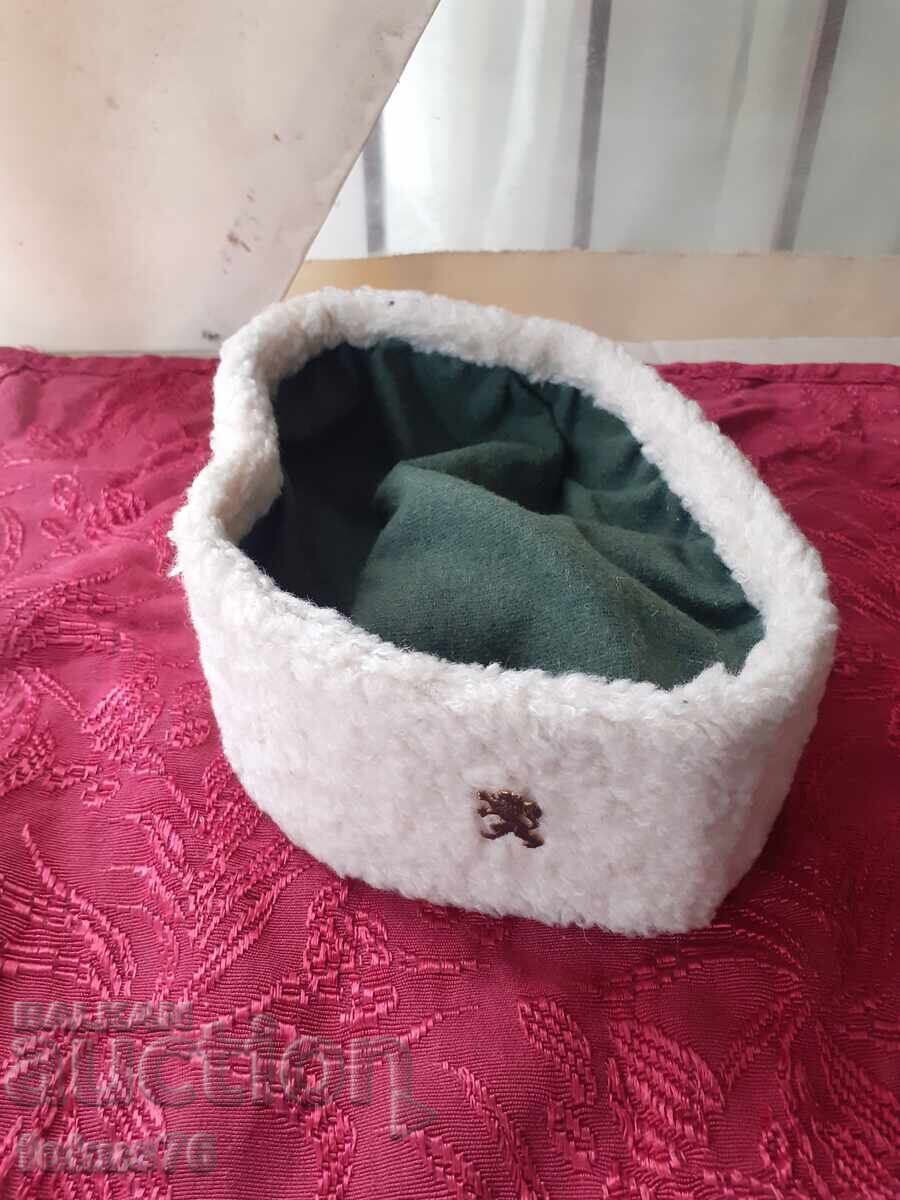 Căciulă, șapcă, pălărie cu cocardă Căciulă, șapcă, pălărie cu cocardă