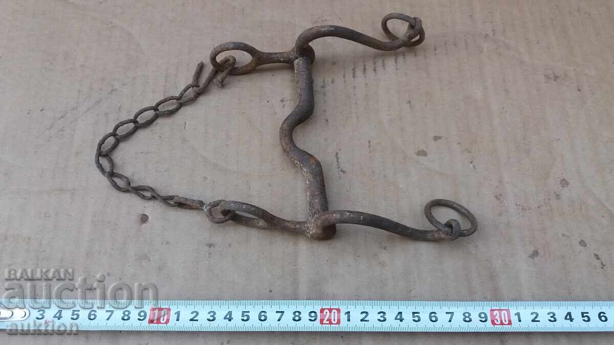 Delivery of FORGED GEM OF HORSE AMMUNITION Delivery of FORGED GEM OF HORSE AMMUNITION