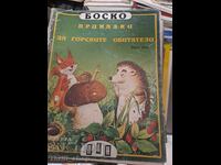 Ιστορίες για τα πλάσματα του δάσους