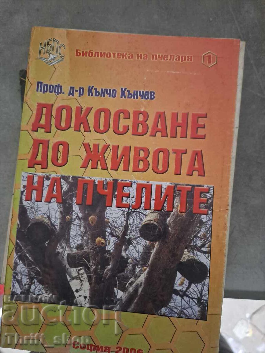 Αγγίξτε τη ζωή των μελισσών
