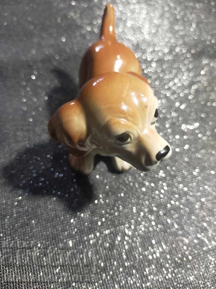 Auction  a dog