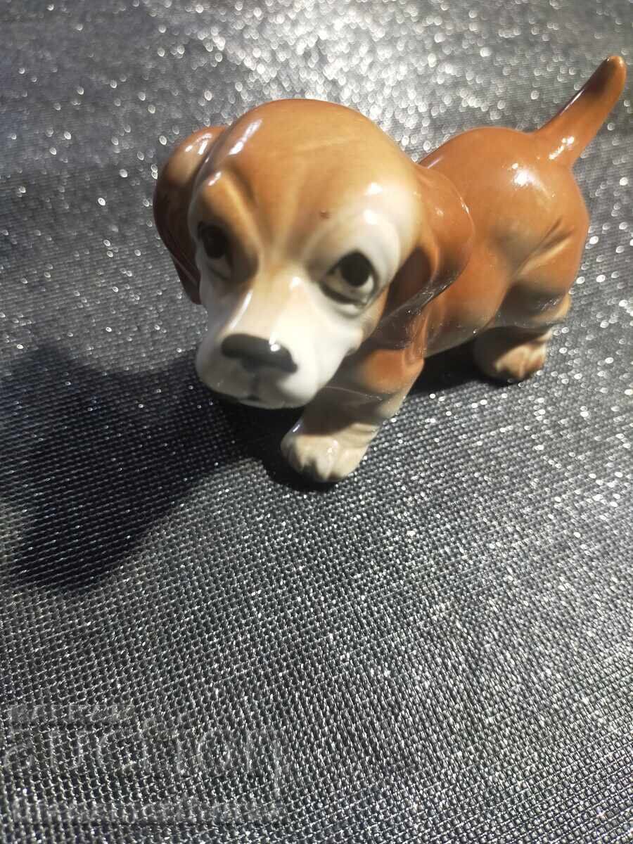 a dog - 5