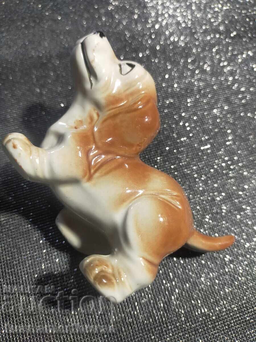 a dog - 6