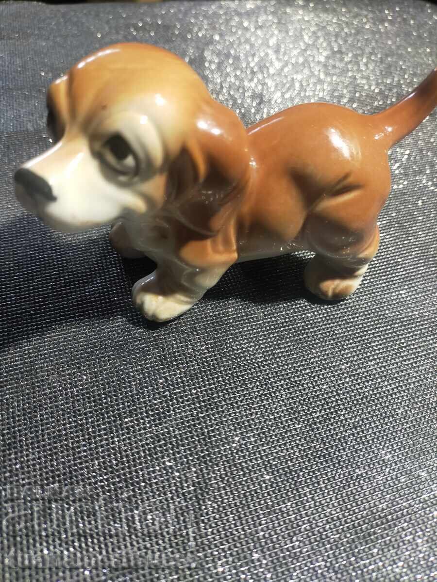 a dog