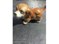 a dog