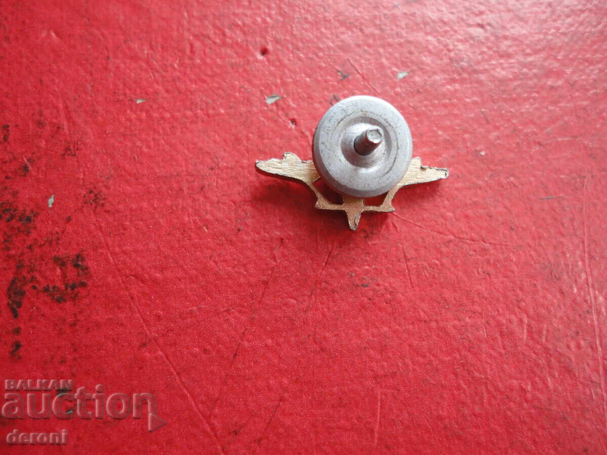 Livrarea Insignă parașutist cu șurub Livrarea Insignă parașutist cu șurub