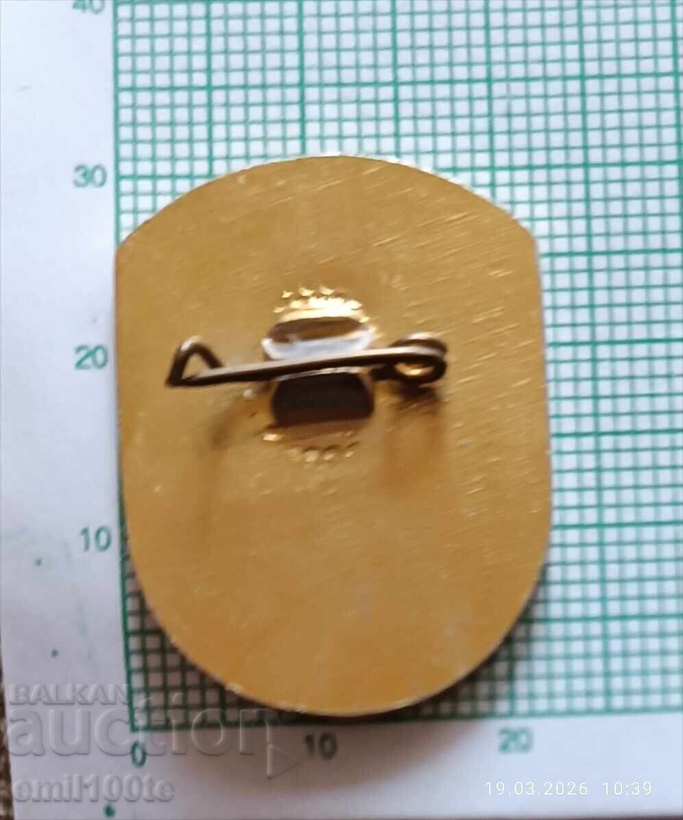 Delivery of Badge - 100 Years Primary School Village Borima