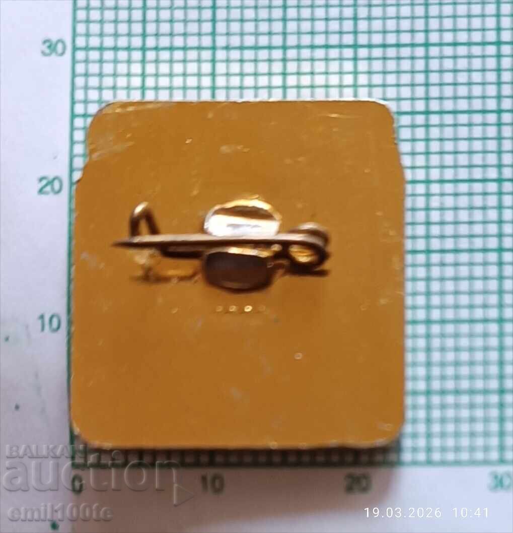 Delivery of Badge - 100 Years Vasil Levski World School Byatovo Delivery of Badge - 100 Years Vasil Levski World School Byatovo