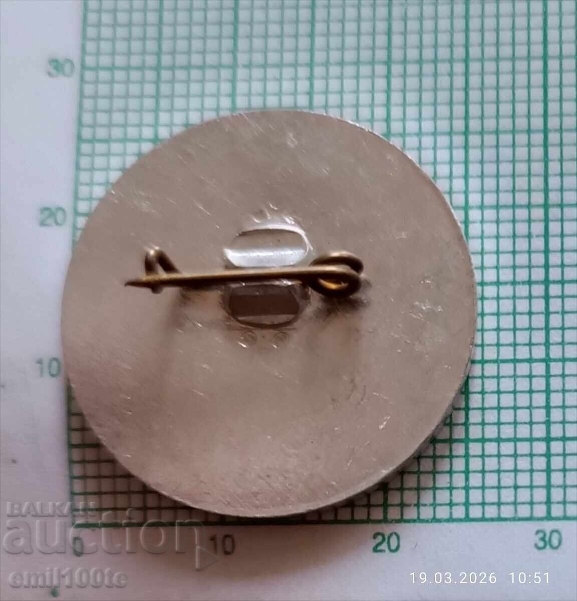 Delivery of Badge - 50 Years Boris Hadjisotirov Primary School Samokov