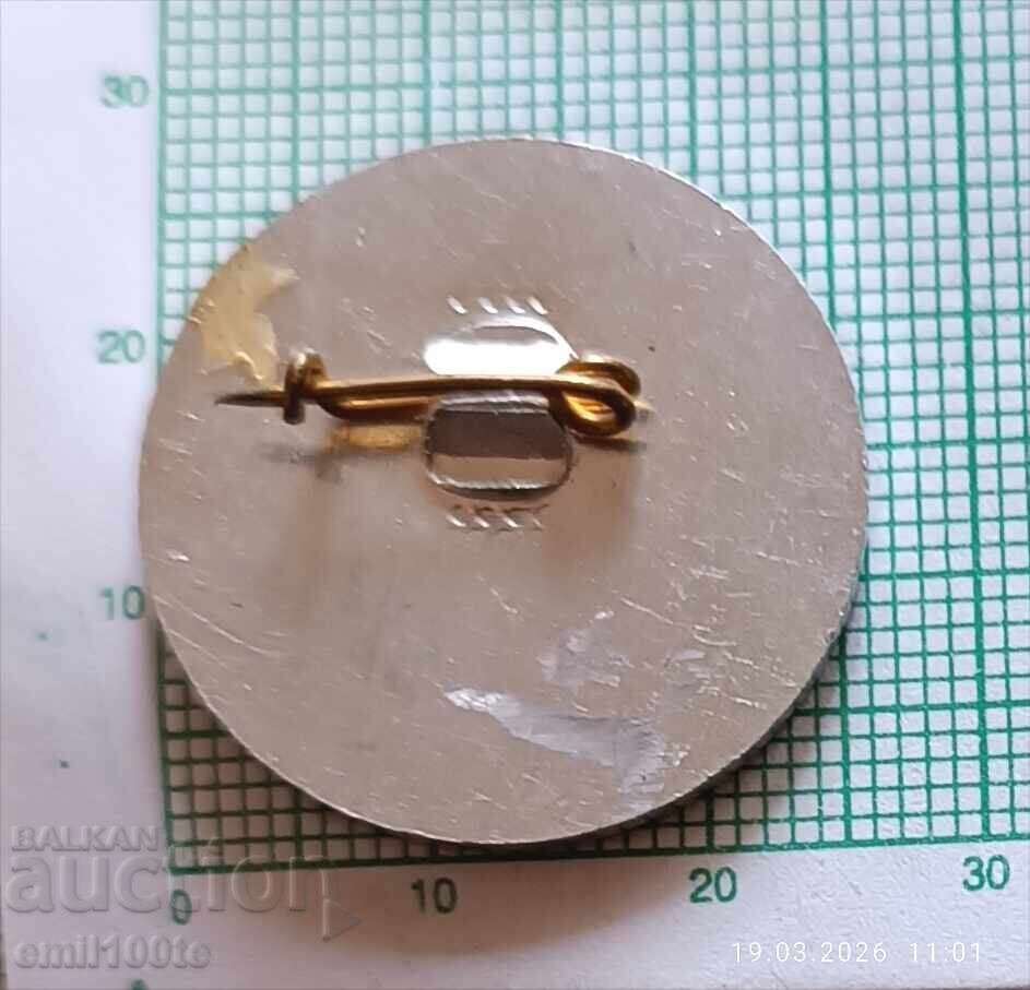 Значка- 25 г. Учителски институт Любен Каравелов Кърджали - 5