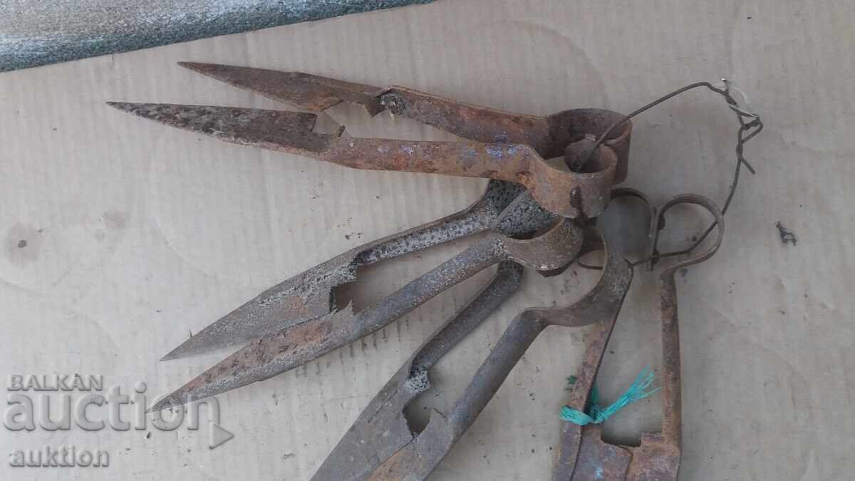 Δημοπρασία ΣΕΤ 4 ΨΑΛΙΔΙΑ ΠΡΟΒΑΤΩΝ